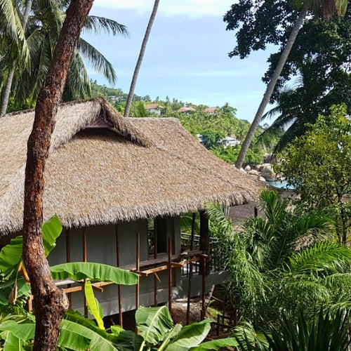 Réalisation d'une villa avec une toiture en feuilles synthétique Asian Reed