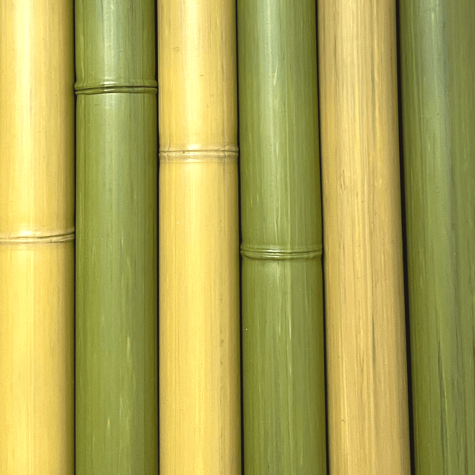 Morceaux de bambou synthétique au diamètre de 75 mm de couleur naturelle et verte - Boutique Palmex
