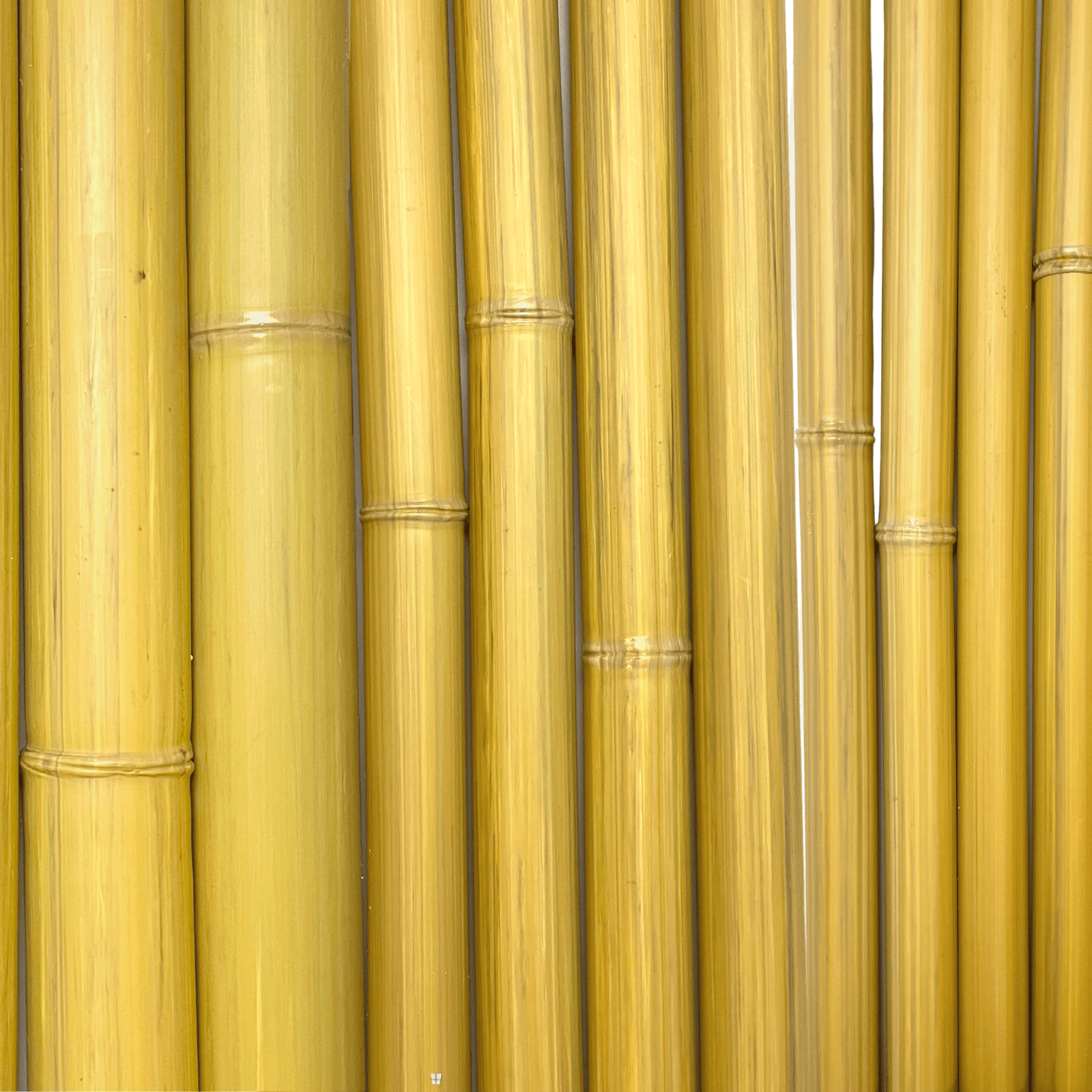 Morceaux de bambou synthétique aux diamètre de 32, 50 et 75 mm de couleur naturelle - Boutique Palmex