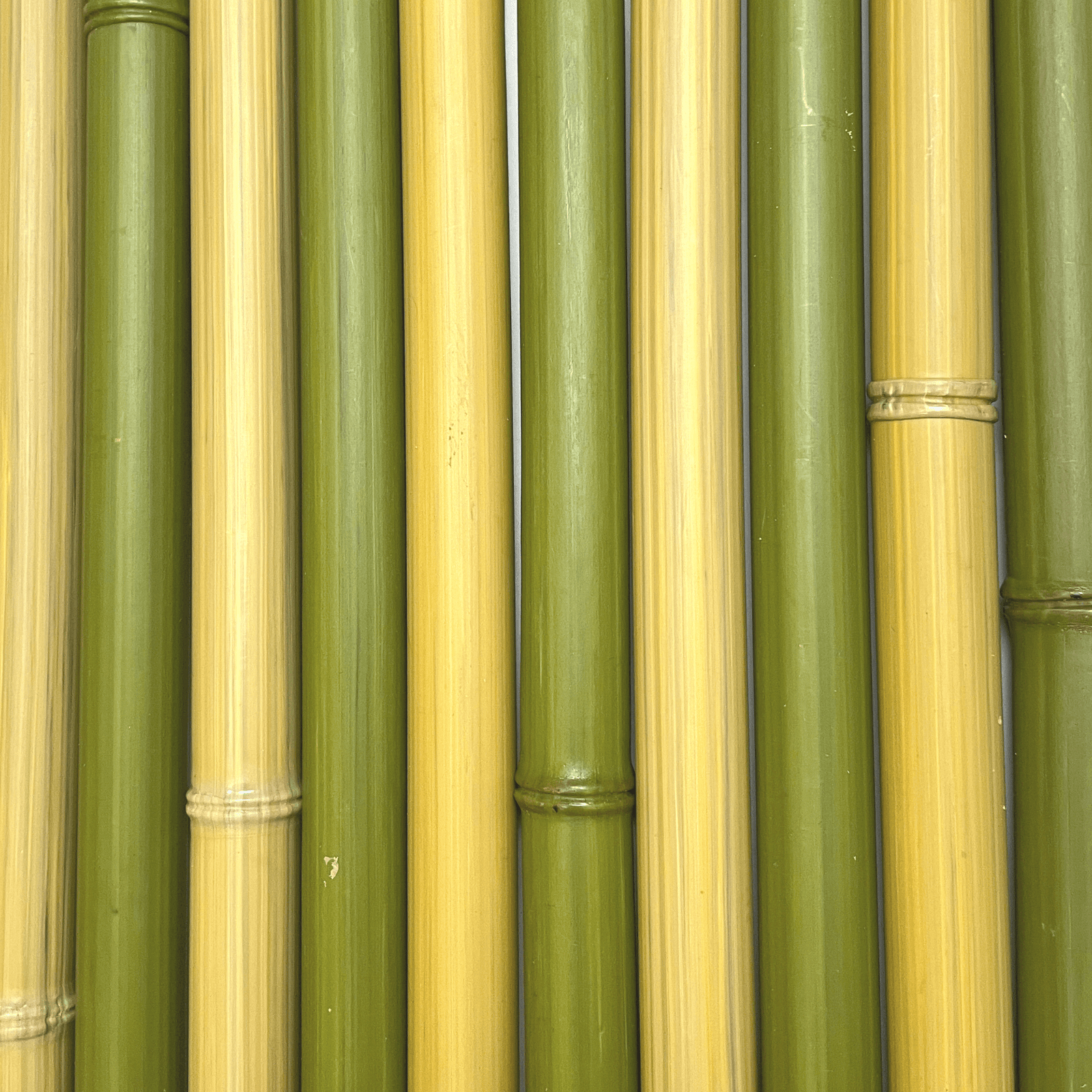 Morceaux de bambou synthétique au diamètre de 32 mm de couleur naturelle et verte - Boutique Palmex