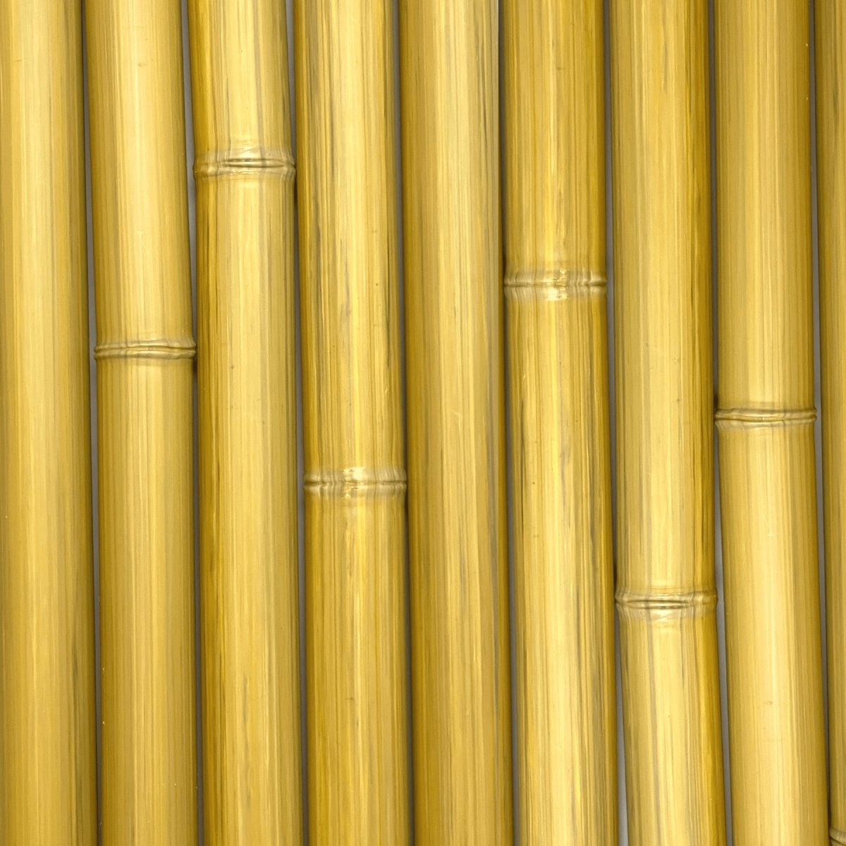Ensemble de morceaux de bambou synthétiques au diamètre de 50 mm de couleur naturelle - BoutiquePalmex