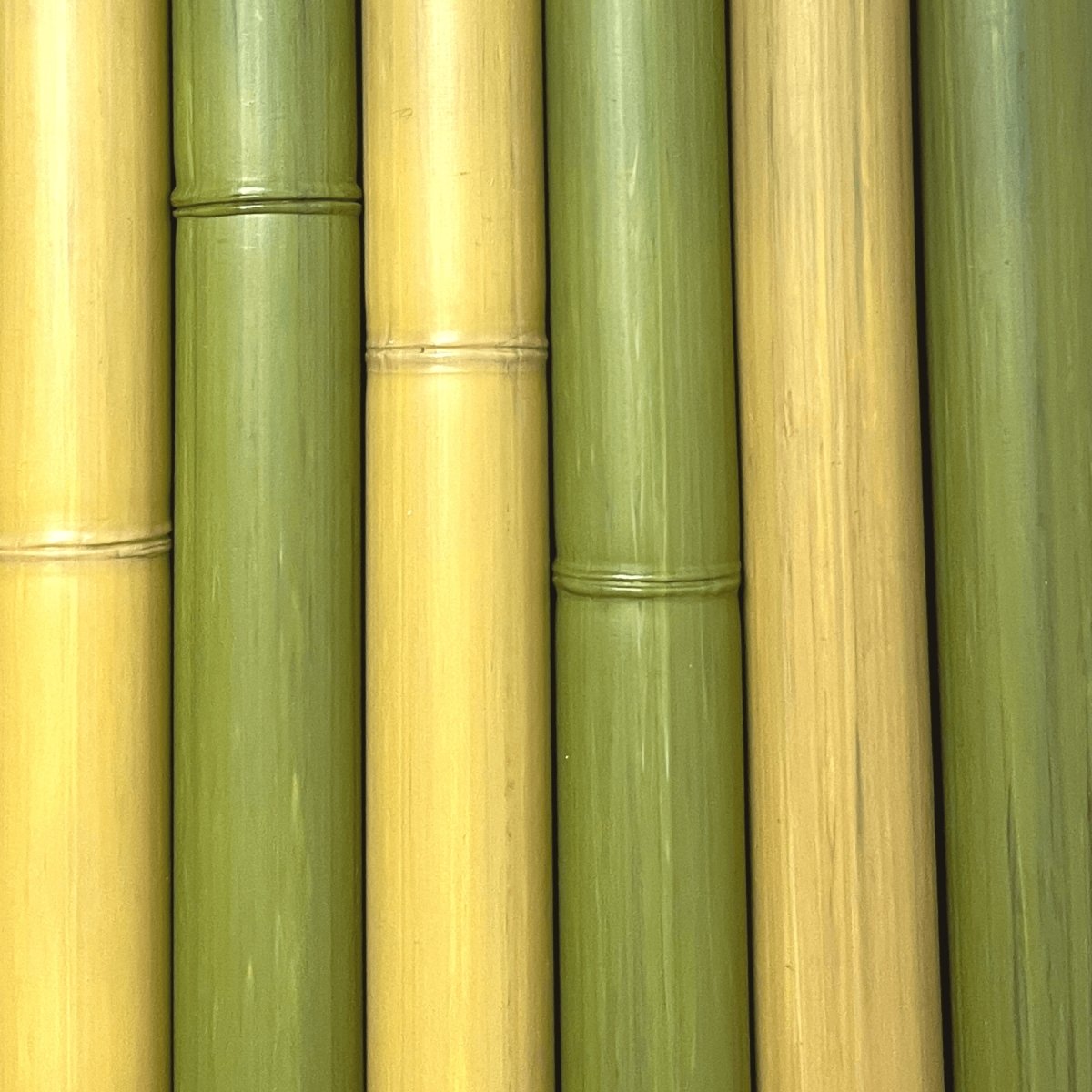 Ensemble de Bambou Synthétiques - 75 mm de diamètre