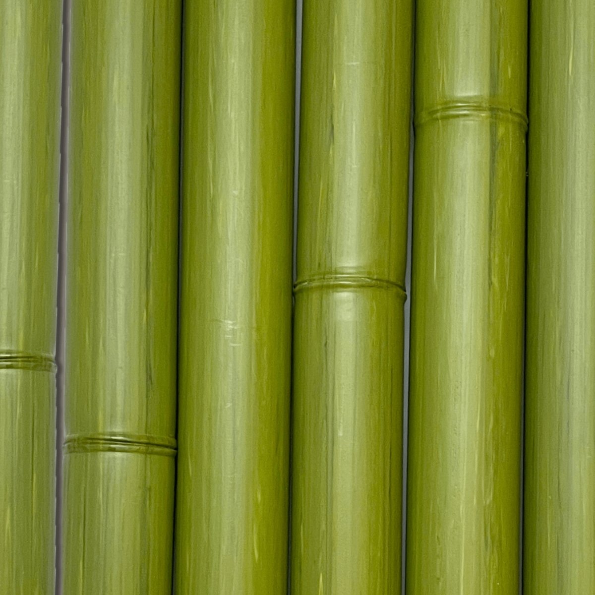 Synthetic Bamboo Set - 2.95 po diameter | Boutique Palmex