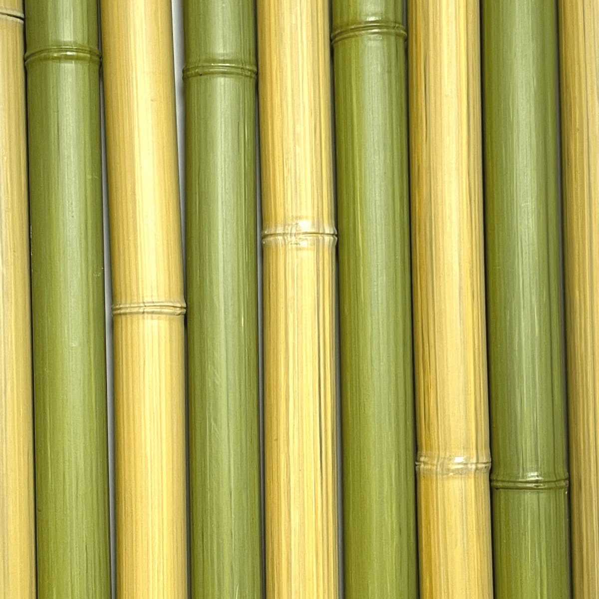 Ensemble de morceaux de bambou synthétiques au diamètre de 50 mm de couleur naturelle et verte - Boutique Palmex